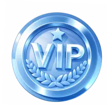 VIP seviye sistemi